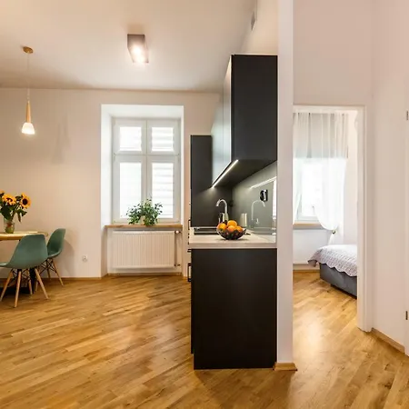 Bridge 6 * 크라쿠프